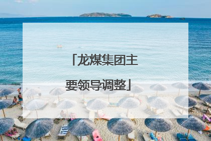 龙煤集团主要领导调整